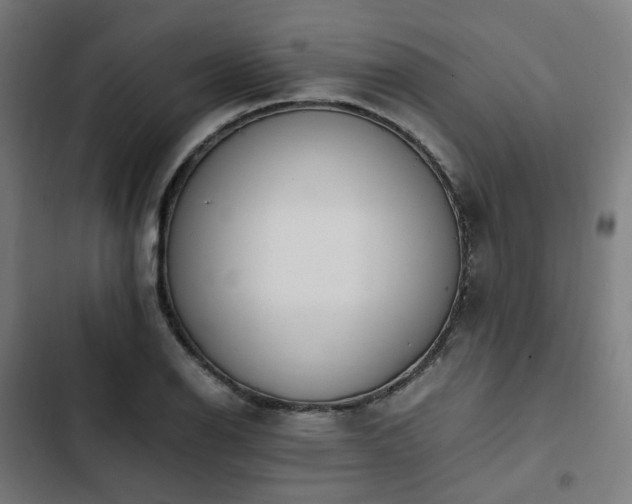X0000103271126200809051501