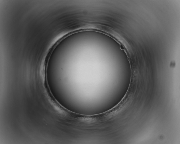 X0000103271127200809051501