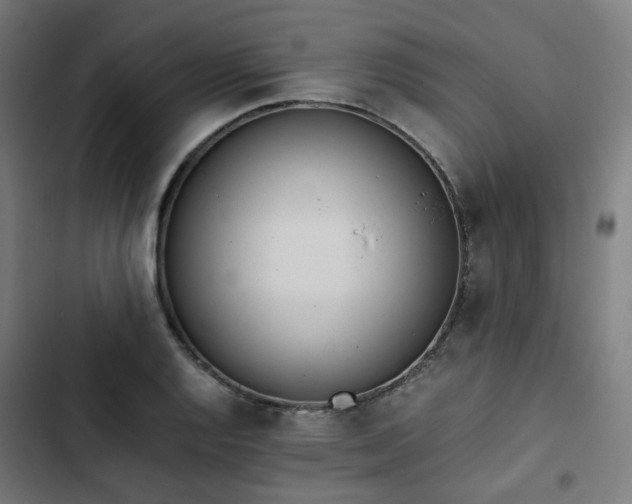 X0000103271128200809051501