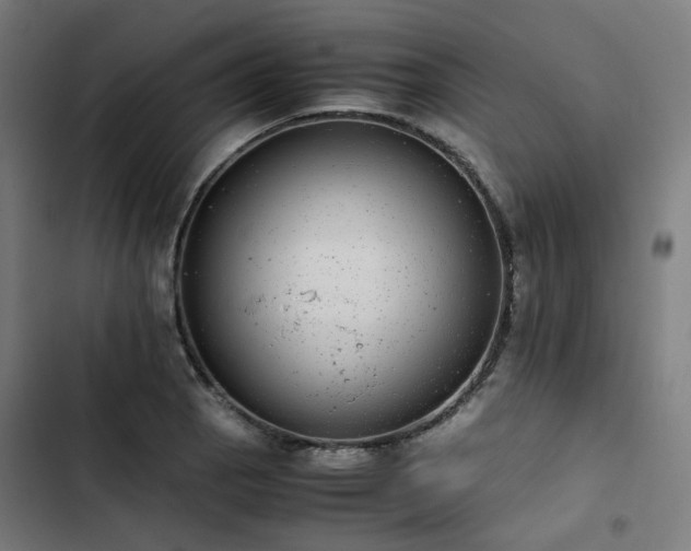 X0000103271129200809051501