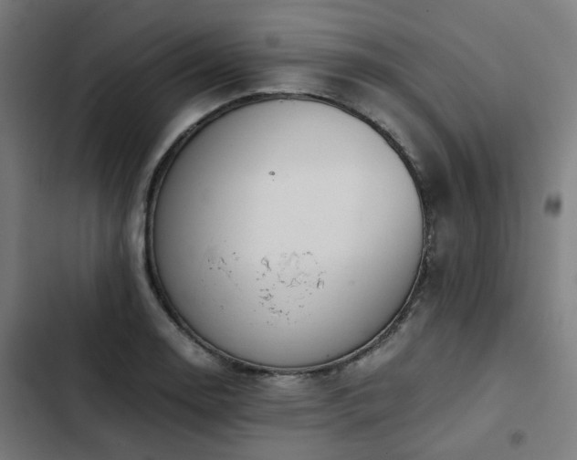 X0000103271130200809051501