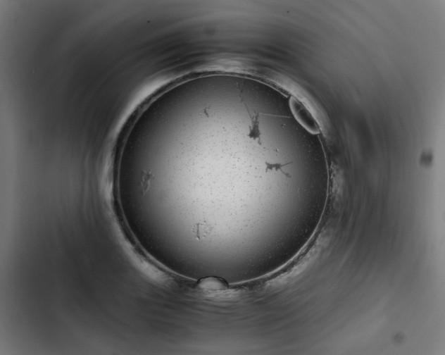 X0000103271131200809051501