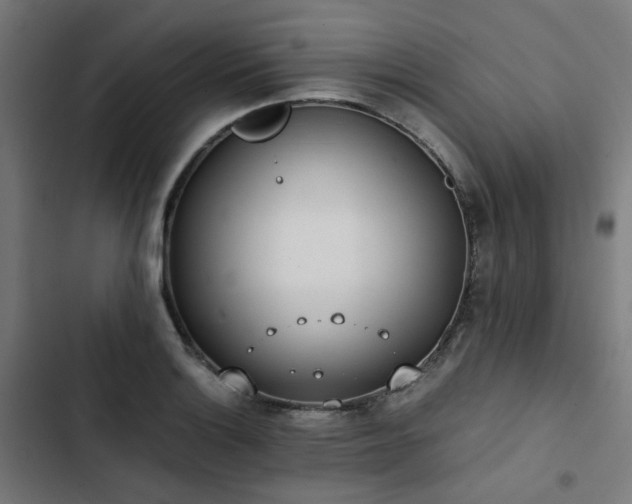 X0000103271132200809051501