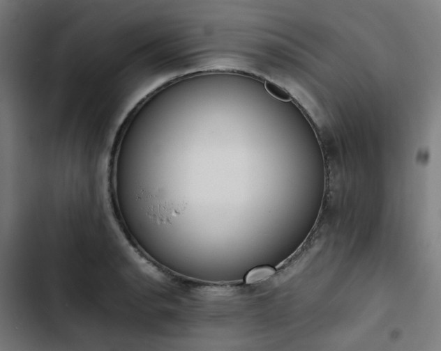 X0000103271134200809051501