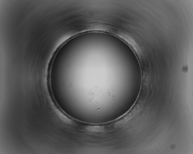 X0000103271135200809051501