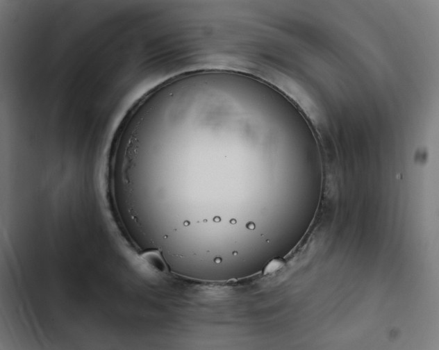 X0000103271136200809051501