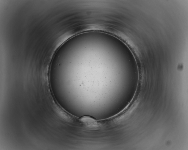 X0000103271137200809051501