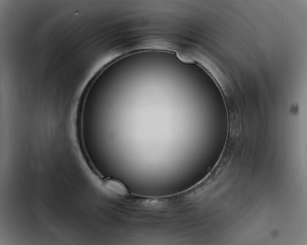 X0000103271139200809051501