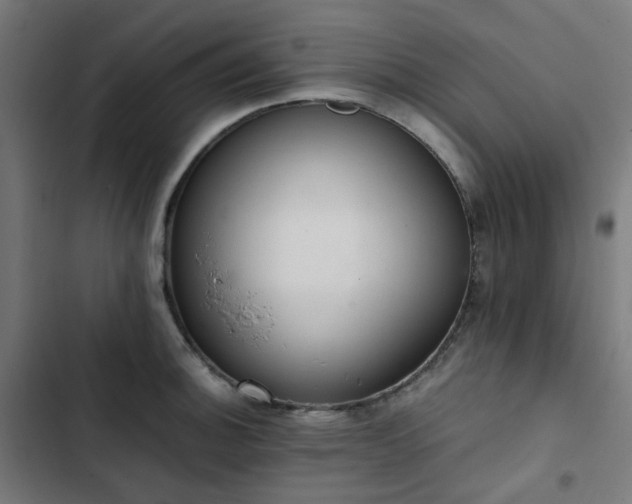 X0000103271140200809051501