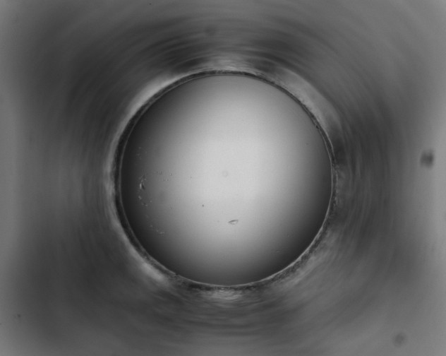 X0000103271141200809051501