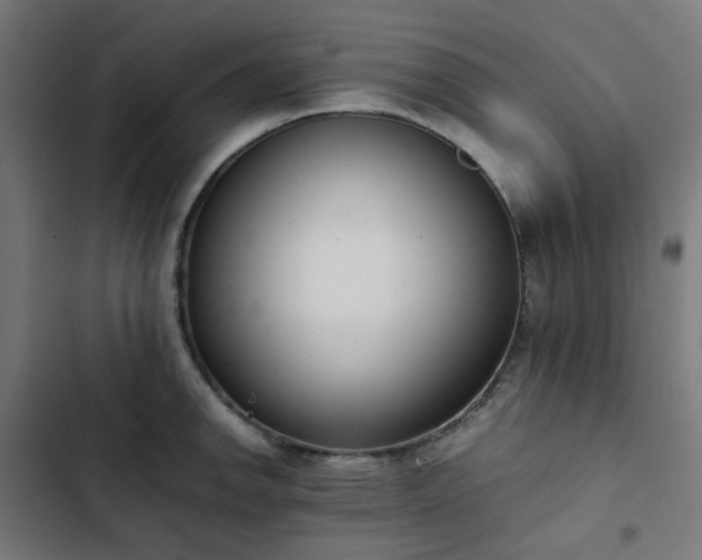 X0000103271142200809051501