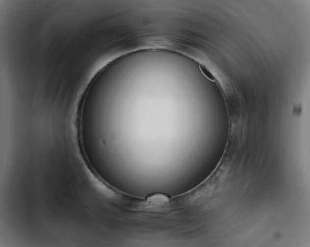 X0000103271143200809051501