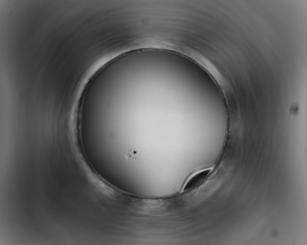 X0000103271144200809051501