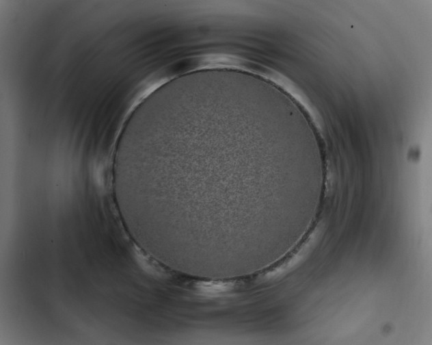 X0000103271145200809051501