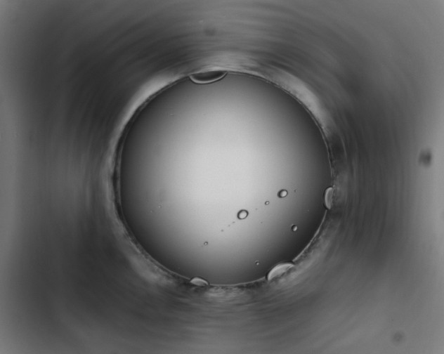 X0000103271146200809051501