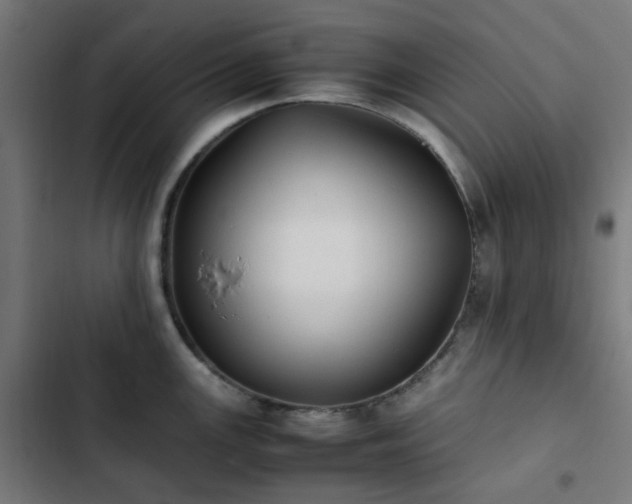 X0000103271147200809051501
