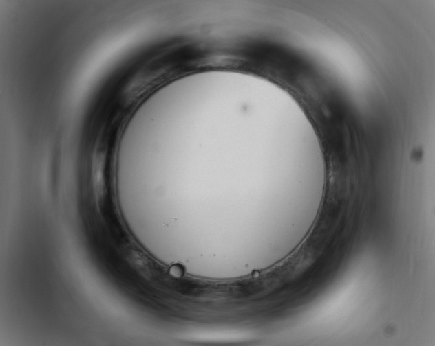 X0000103271150200809051501
