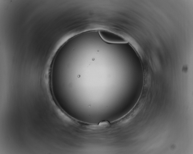 X0000103271151200809051501