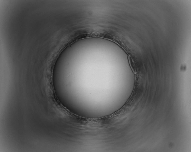 X0000103271153200809051500