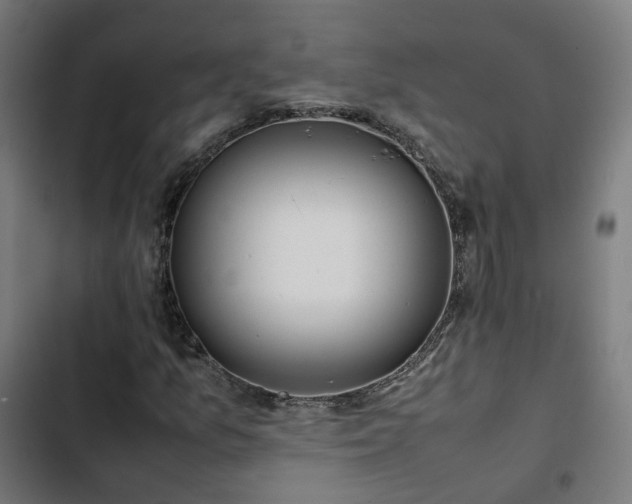 X0000103271157200809051500