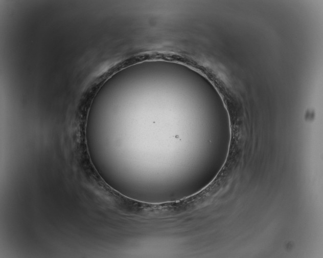 X0000103271159200809051500