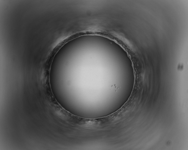 X0000103271160200809051500