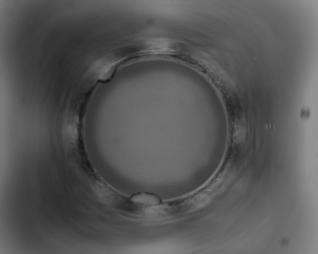 X0000103271161200809051500