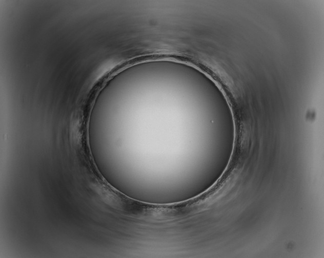 X0000103271163200809051500
