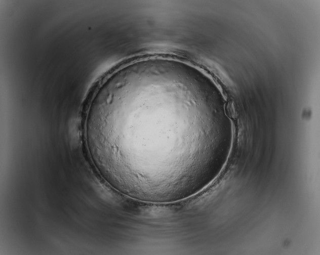 X0000103271164200809051500