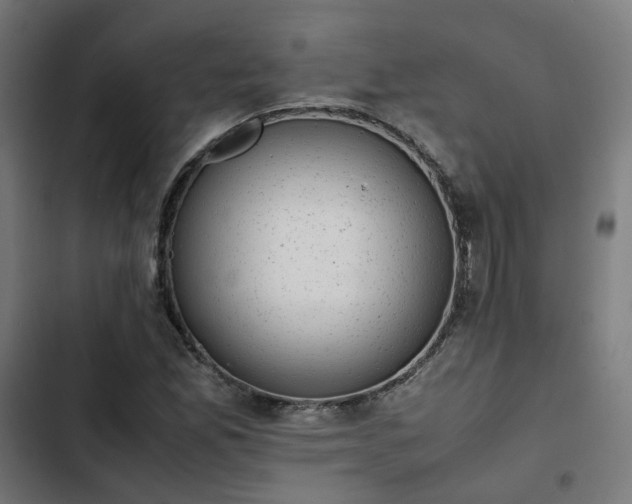 X0000103271165200809051500