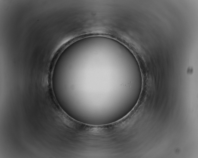 X0000103271166200809051500