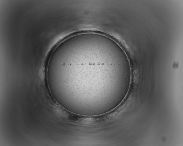 X0000103271167200809051500