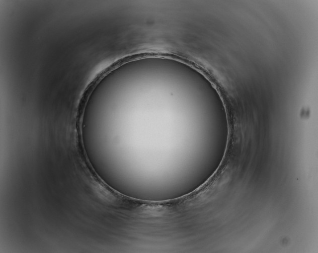X0000103271168200809051500