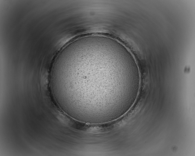 X0000103271169200809051500
