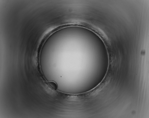 X0000103271172200809051500