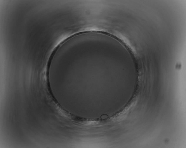 X0000103271173200809051500