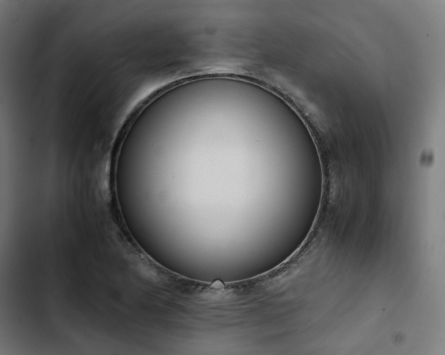 X0000103271174200809051500