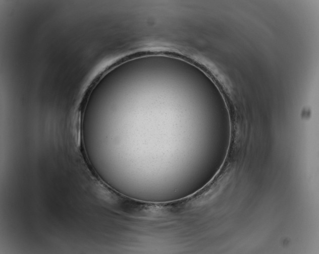 X0000103271175200809051500