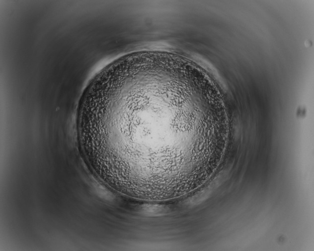 X0000103271176200809051500