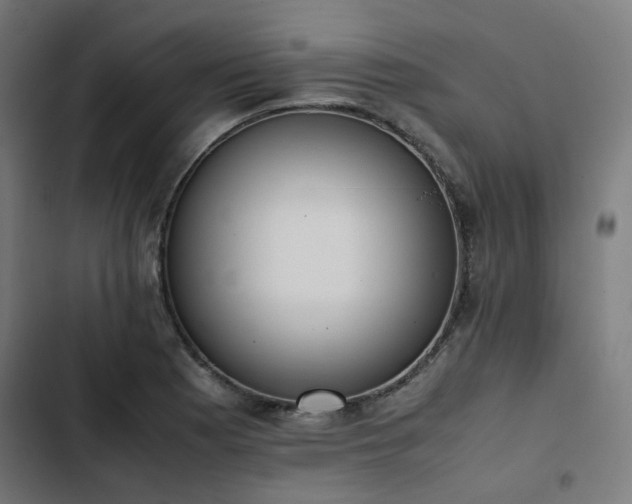 X0000103271177200809051500