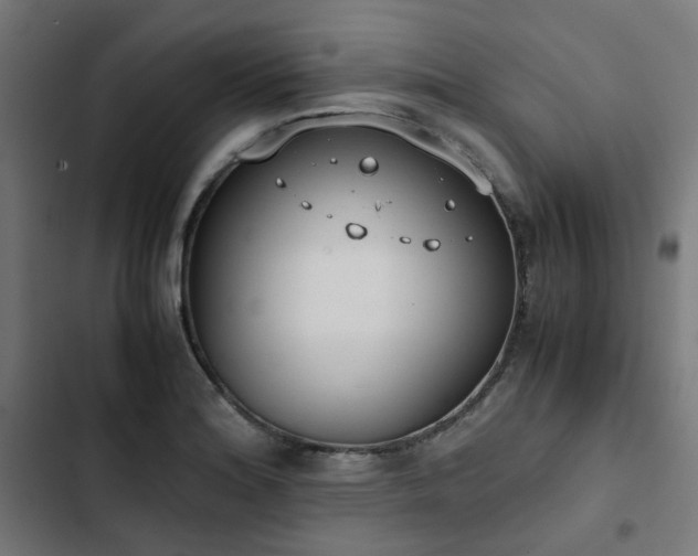 X0000103271180200809051500