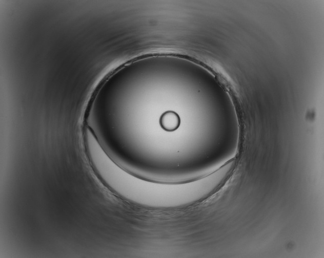 X0000103271181200809051500