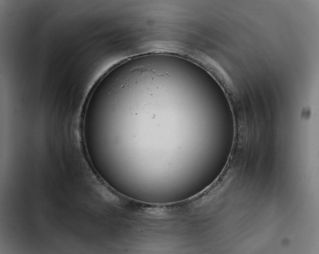 X0000103271182200809051500