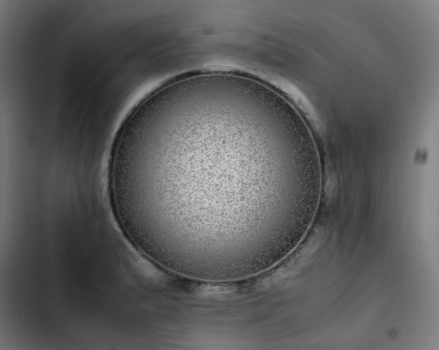 X0000103271183200809051500