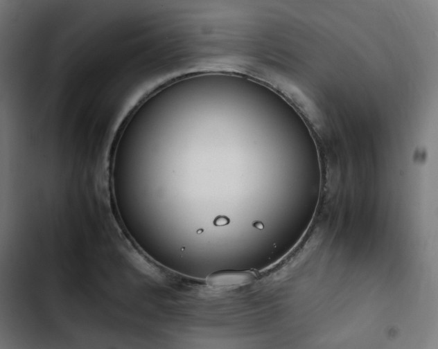 X0000103271184200809051500