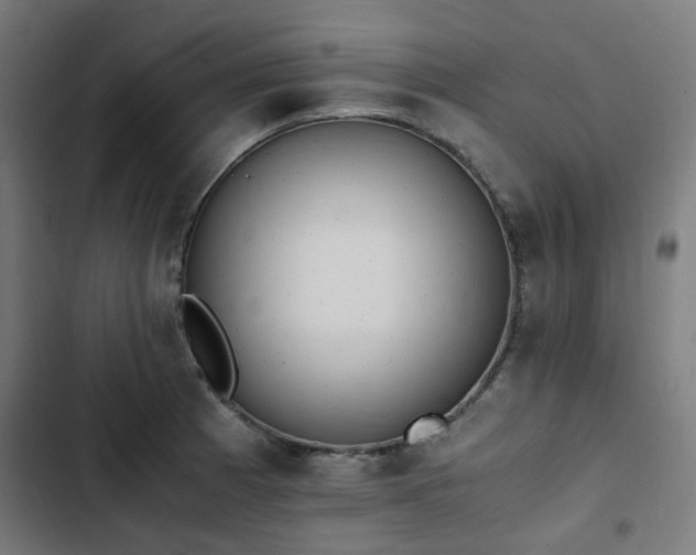 X0000103271185200809051500