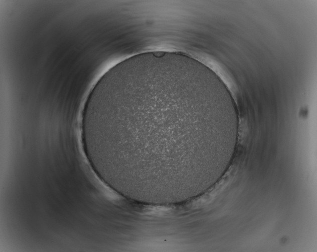X0000103271187200809051500