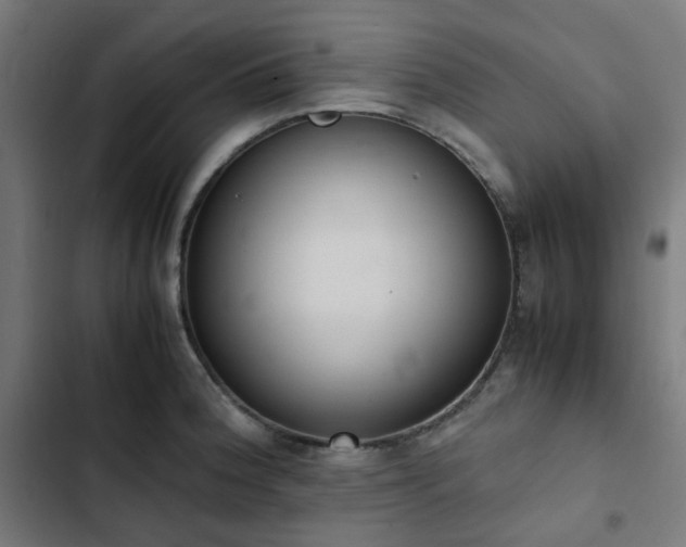 X0000103271188200809051500