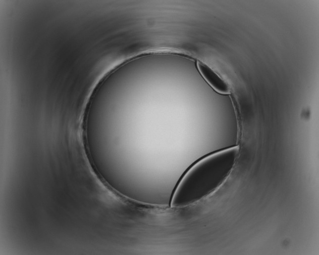 X0000103271189200809051500
