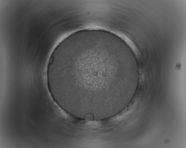 X0000103271191200809051500